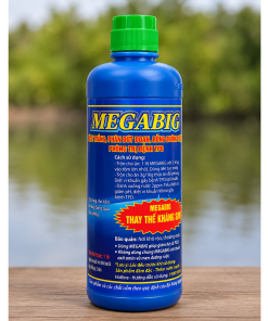 Megabig (axit hữu cơ, phòng trị bệnh TPD, diệt vi khuẩn có hại trong đường ruột)