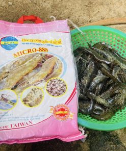 Micro-888 (khoáng tăng kiềm, siêu lắng tự sạch nước, kích lột - cứng vỏ) 3 494467163 4074530406152994 8279584697511792917 n