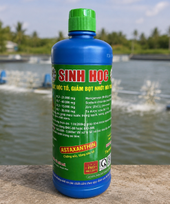 Sinh Học (công nghệ sinh học hiện đại) Giảm bọt nhớt hôi thối - Phòng EHP, Gan Tụy