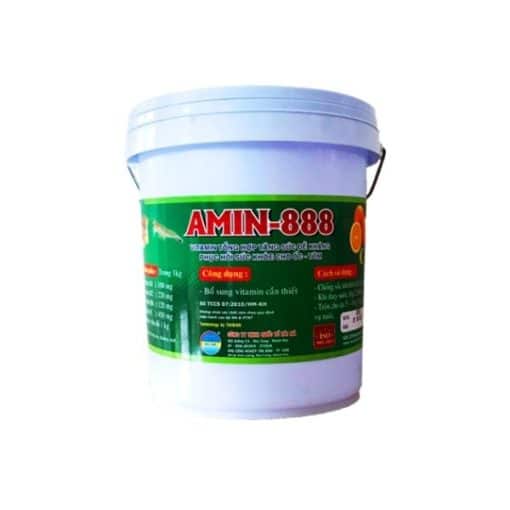 AMIN-888 xô (vitamin chống sốc)