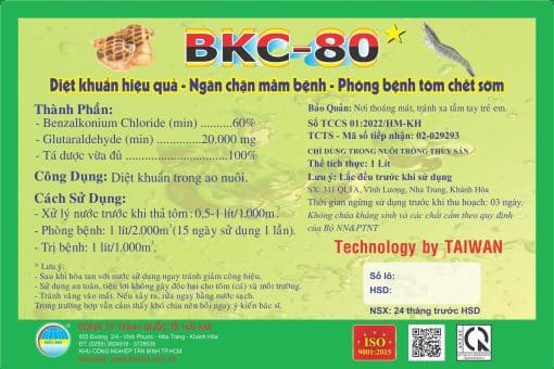 BKC 80 1 LIT 3 e1691135753694