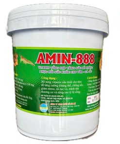 AMIN-888 xô (vitamin chống sốc)