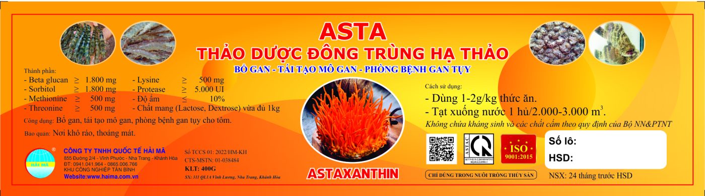 ASTA dong trung ha thao e1729236077101
