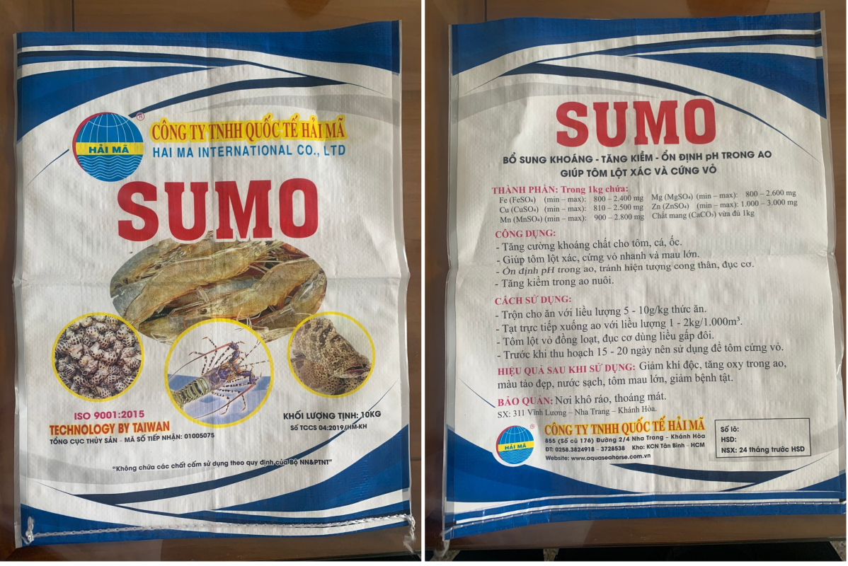 sumo 2 scaled e1748567617315